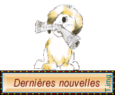 Réunion d'info Ecole de Foot