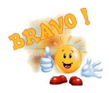 Romain Bayard meilleur joueur du groupe D de CFA2 !