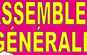 Assemblée Générale Ordinaire