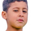 Wael